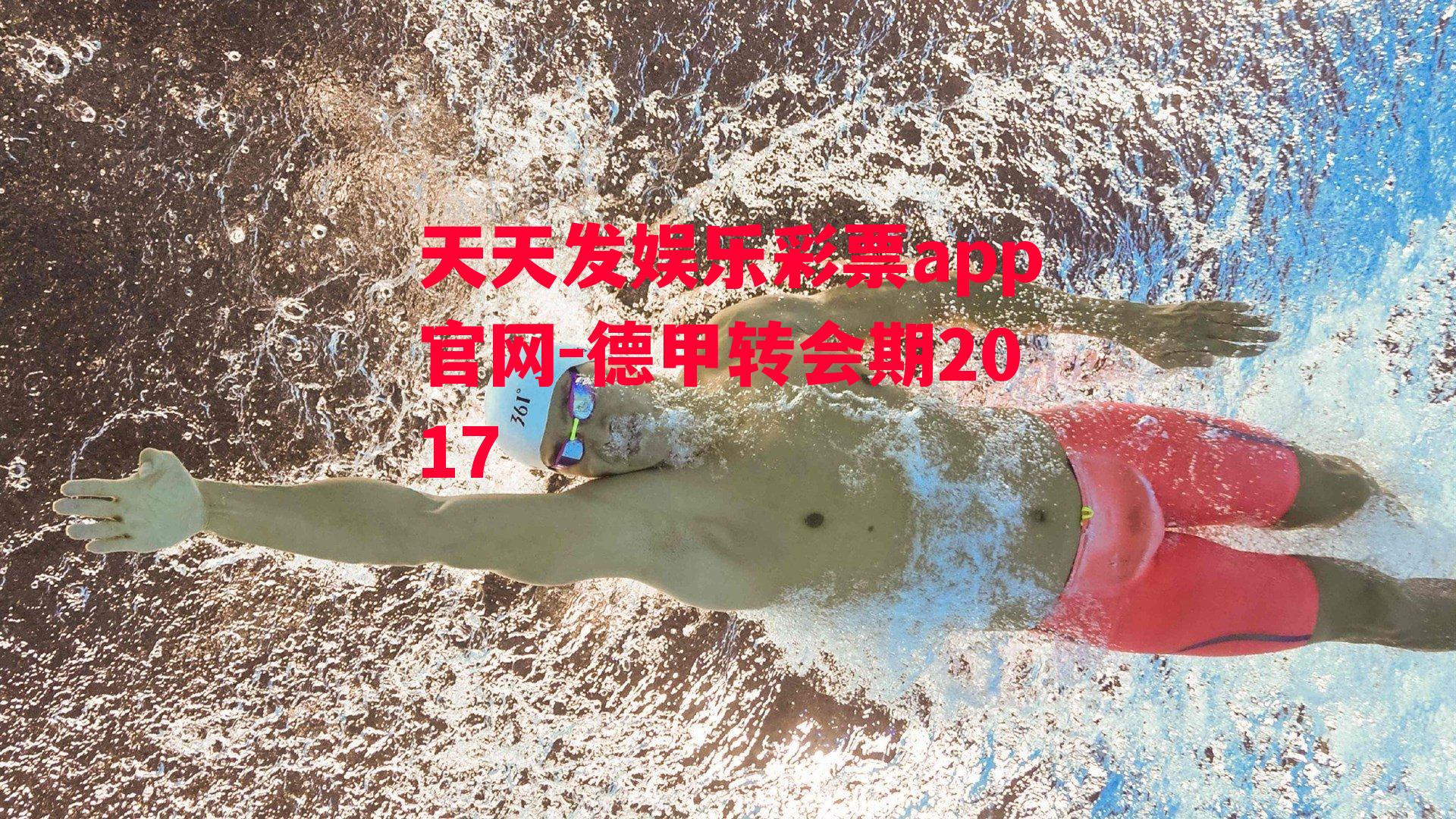 德甲转会期2017